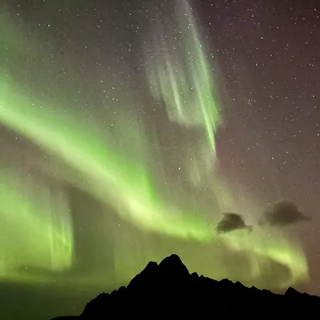 Newly Renovated In Lofoten With Free Parking And Fast Wi-fi Kabelvåg